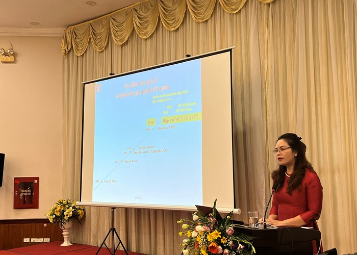 Siết chặt các quy định của Luật Sở hữu trí tuệ về quyền tác giả, quyền liên quan - Anh 3