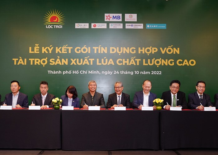 Thêm nguồn lực cho sản xuất lúa chất lượng cao - Anh 1