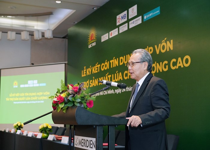Thêm nguồn lực cho sản xuất lúa chất lượng cao - Anh 3
