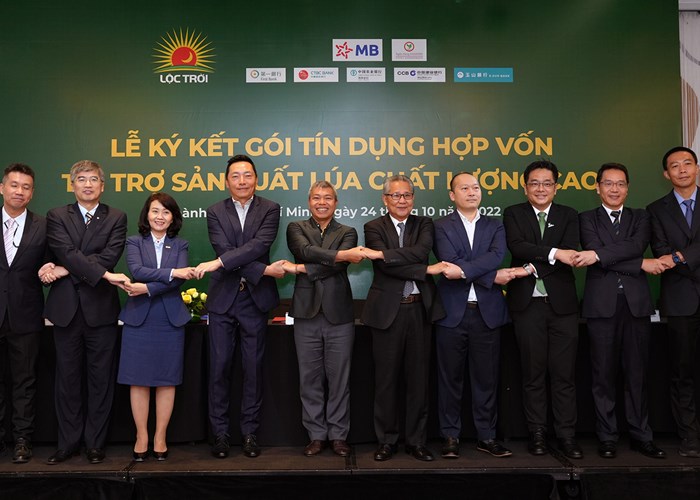 Thêm nguồn lực cho sản xuất lúa chất lượng cao - Anh 2