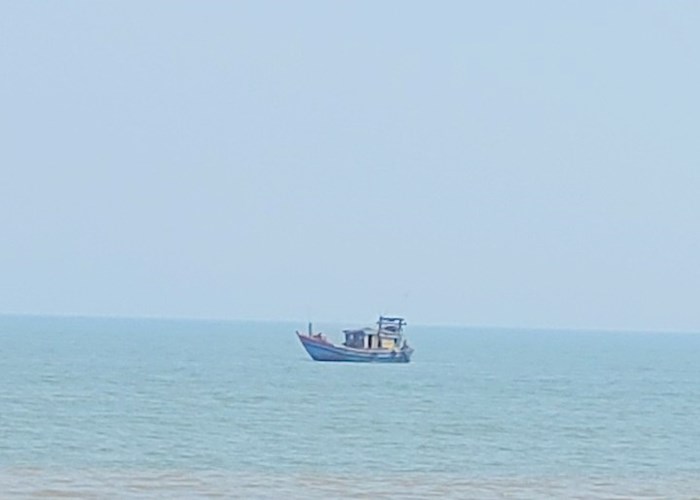 Thanh Hóa: Tàu giã cào hoạt động gần bờ trái phép, ngư dân mất kế sinh nhai - Anh 1