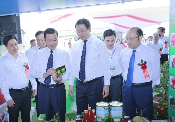 Thanh Hóa trưng bày và giới thiệu sản phẩm nông sản, thực phẩm an toàn - Anh 1