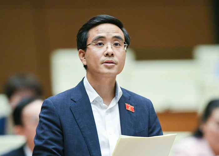 Đại biểu Quốc hội: Cần làm rõ cơ chế phối hợp trong việc quản lý đất có di tích lịch sử văn hóa - Anh 1