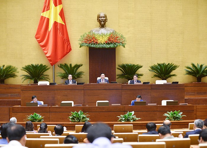 Quốc hội thông qua Luật Phòng, chống bạo lực gia đình (sửa đổi) với số phiếu tán thành cao - Anh 1