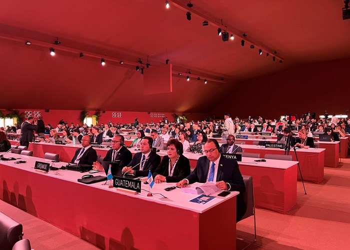 Khai mạc Kỳ họp thứ 17, Ủy ban liên Chính phủ Công ước 2003 của UNESCO  về bảo vệ di sản văn hóa phi vật thể - Anh 2