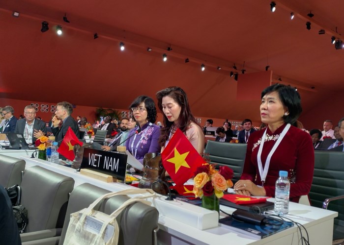 Nghệ thuật làm gốm của người Chăm được UNESCO ghi danh vào Danh sách di sản văn hóa phi vật thể cần bảo vệ khẩn cấp - Anh 3