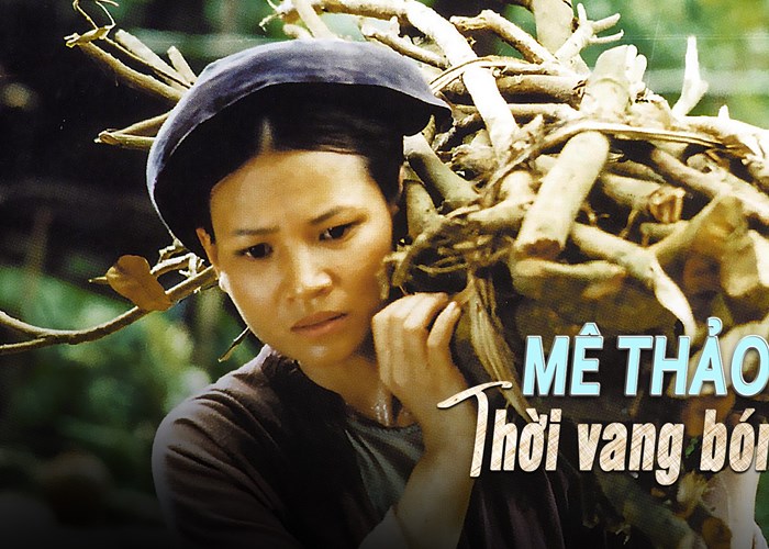 Xưởng Phim Giải Phóng, 60 năm nhìn lại - Anh 2