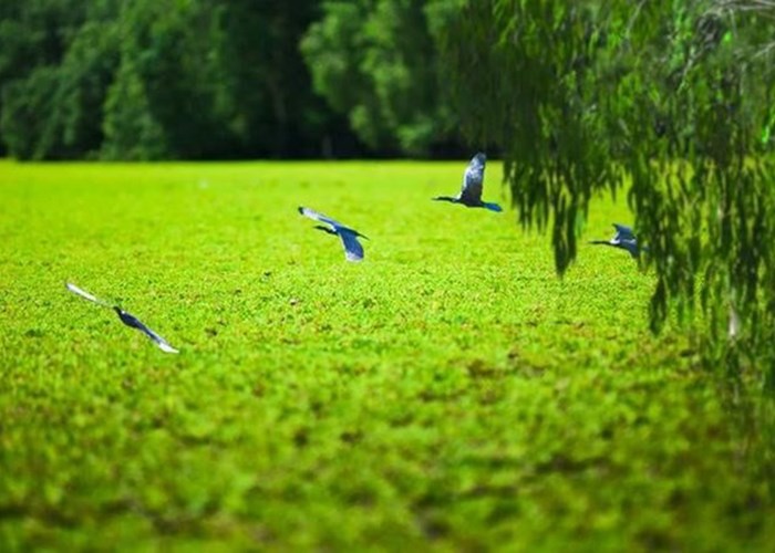 Hệ giá trị và tư duy thấu cảm - Anh 2