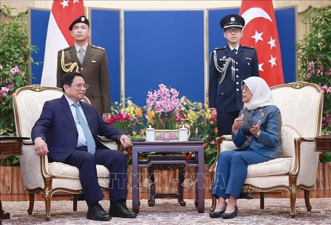 Việt Nam - Singapore tăng cường hợp tác kinh tế số, kinh tế xanh - Anh 3