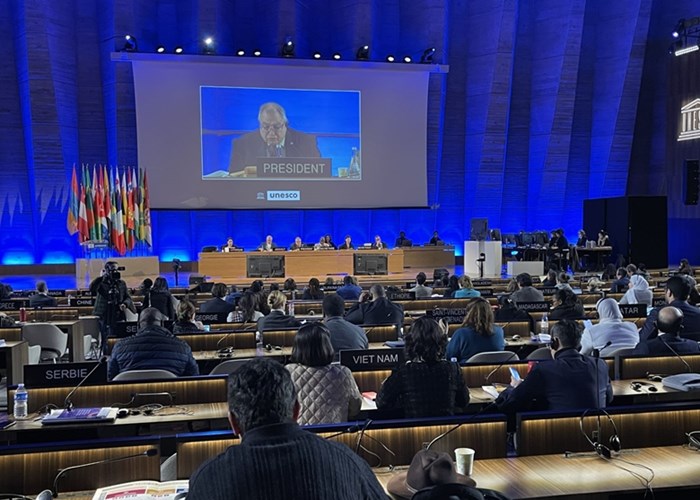 Việt Nam trúng cử Phó Chủ tịch ủy ban bảo vệ đa dạng văn hóa của UNESCO - Anh 1
