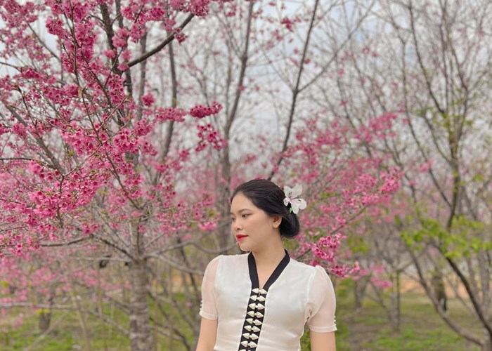 Sap dien ra vong so khao cuoc thi Nguoi dep Hoa Ban - Anh 2