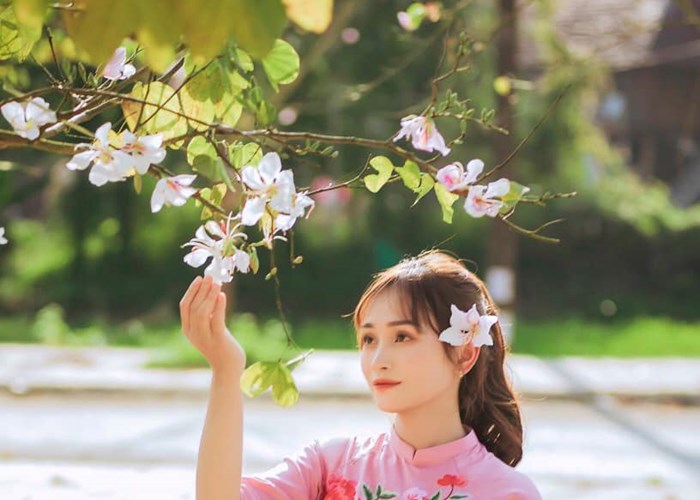 Sap dien ra vong so khao cuoc thi Nguoi dep Hoa Ban - Anh 5