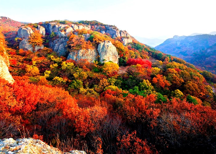 Gangwon (Hàn Quốc): Hút du khách Việt bằng chính sách miễn visa và sản phẩm hấp dẫn - Anh 6