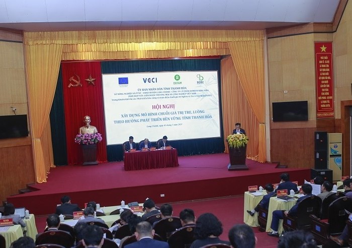 Thanh Hóa phát triển mô hình chuỗi giá trị tre, luồng bền vững - Anh 1