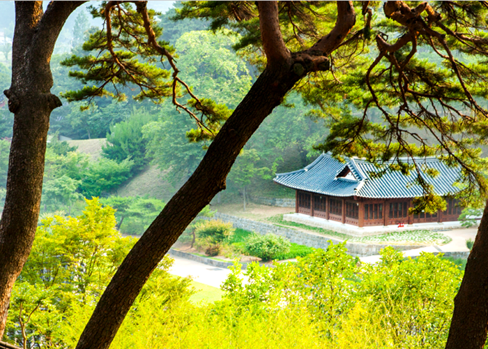 Gangneung đặt mục tiêu là thành phố du lịch quốc tế hàng đầu thế giới năm 2040 - Anh 4