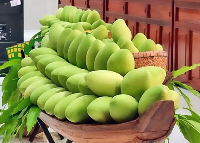 Lễ hội Xoài Đồng Tháp: Quảng bá thương hiệu, kết nối du lịch - Anh 2