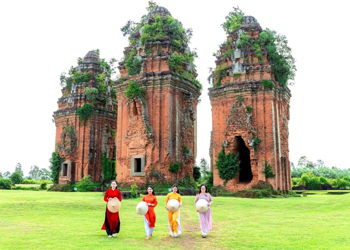 Bình Định mở rộng cửa đón các nhà đầu tư du lịch - Anh 8