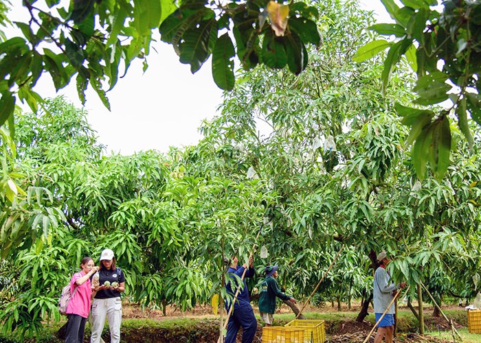 Đất phương Nam lên “thực đơn” đón khách chơi lễ - Anh 1