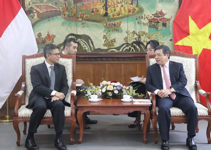 Việt Nam – Indonesia: Tăng cường hợp tác VHTTDL - Anh 1