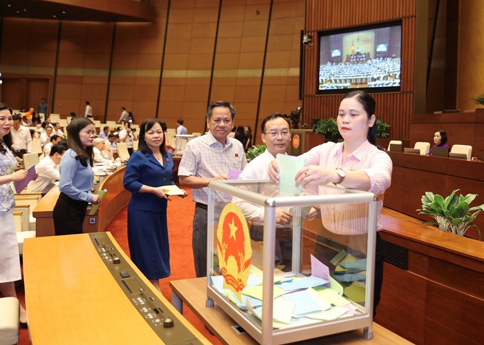 Quốc hội phê chuẩn miễn nhiệm Bộ trưởng Tài nguyên và Môi trường - Anh 2