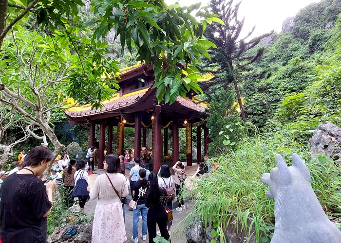 Ngắm mùa vàng rực rỡ ở Tam Cốc- Tràng An - Anh 4