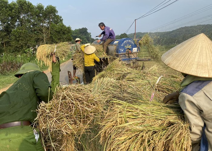 Hình ảnh đẹp về người chiến sĩ Công an đội nắng xuống đồng giúp dân gặt lúa - Anh 2