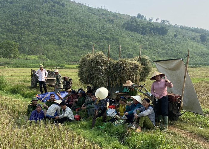Hình ảnh đẹp về người chiến sĩ Công an đội nắng xuống đồng giúp dân gặt lúa - Anh 5