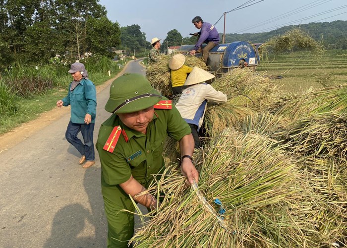 Hình ảnh đẹp về người chiến sĩ Công an đội nắng xuống đồng giúp dân gặt lúa - Anh 4