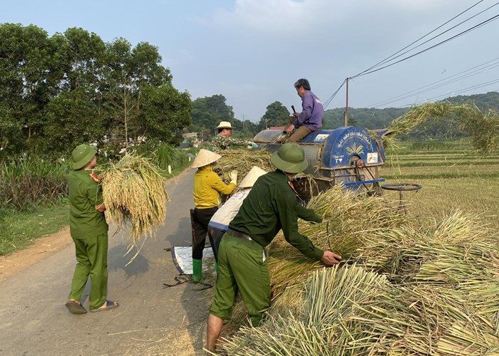 Hình ảnh đẹp về người chiến sĩ Công an đội nắng xuống đồng giúp dân gặt lúa - Anh 3