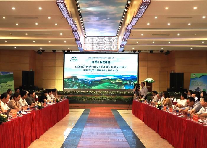 Mộc Châu - biến danh hiệu thành thương hiệu - Anh 3