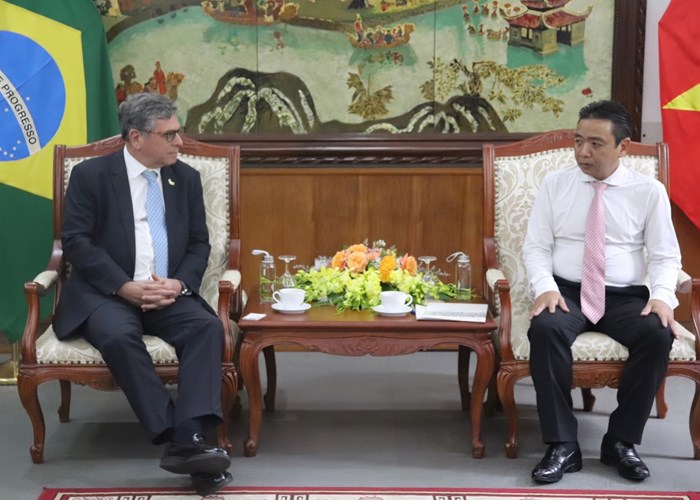 Việt Nam – Brazil: Tăng cường hợp tác văn hoá, thể thao - Anh 1