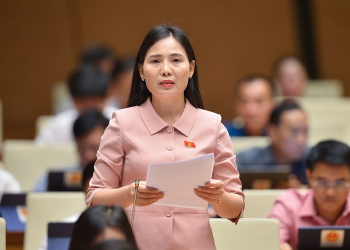 Đại biểu Quốc hội đề nghị ưu tiên nguồn lực thực hiện Chương trình tổng thể phát triển văn hóa, nới rộng cấp visa cho du khách - Anh 2