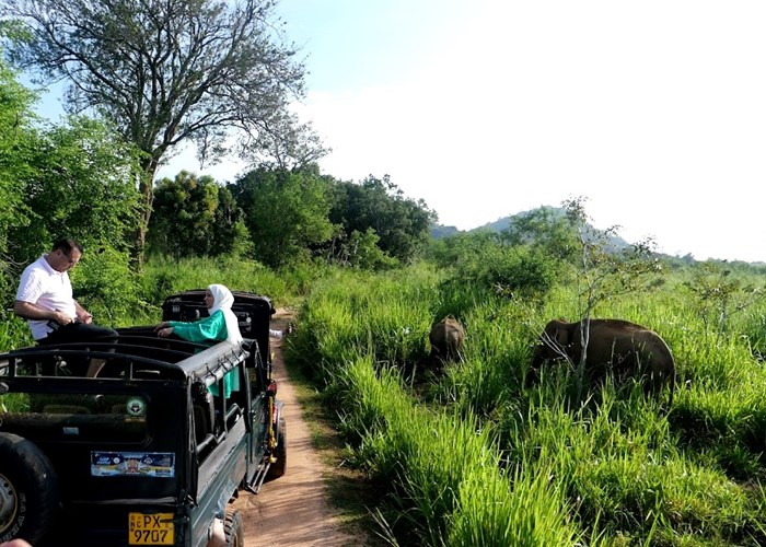 Khám phá Sri Lanka - hòn ngọc Ấn Độ Dương: Bài 3: Những điều chỉ có ở Sri Lanka - Anh 1