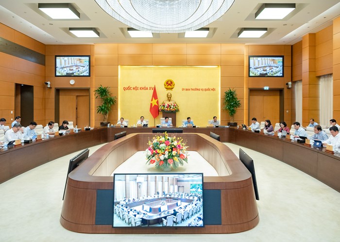 Ủy ban Thường vụ Quốc hội cho ý kiến về dự thảo luật liên quan đến nội dung xuất, nhập cảnh - Anh 1