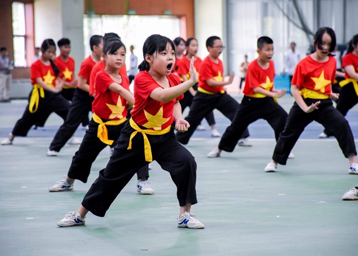 Tìm giải pháp đưa Võ cổ truyền Việt Nam ra thế giới - Anh 1