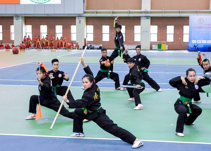 Tìm giải pháp đưa Võ cổ truyền Việt Nam ra thế giới - Anh 2