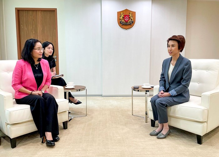 Việt Nam - Singapore: Tăng cường hợp tác VHTTDL - Anh 1