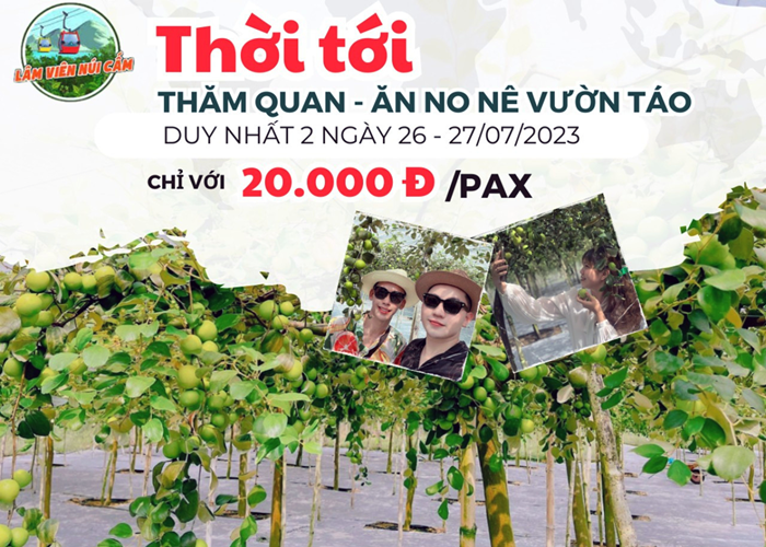 Vườn táo Lâm Viên núi Cấm – Nhịp điệu cộng hưởng - Anh 2