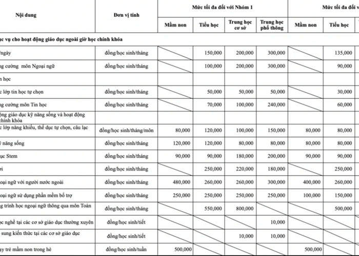 TP.HCM ban hành quy định tiền ăn và các khoản thu dịch vụ trường công lập - Anh 2