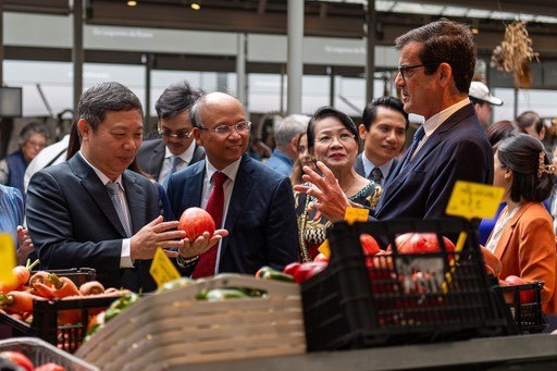 Kết nối di sản văn hoá giữa TP.HCM và TP Porto - Anh 3