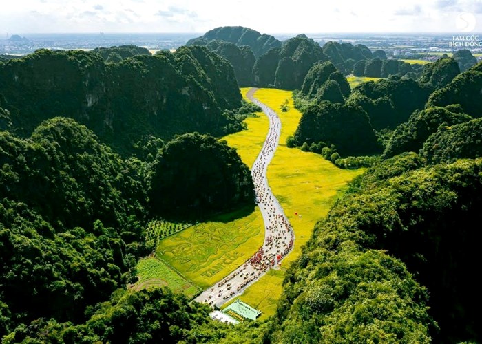 Ba lý do khiến Việt Nam trở thành “điểm nóng” du lịch mới của châu Á - Anh 4
