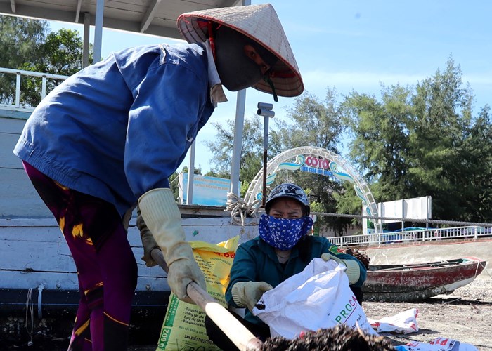 Trả lại môi trường xanh, sạch, đẹp cho bãi biển Cô Tô - Anh 3