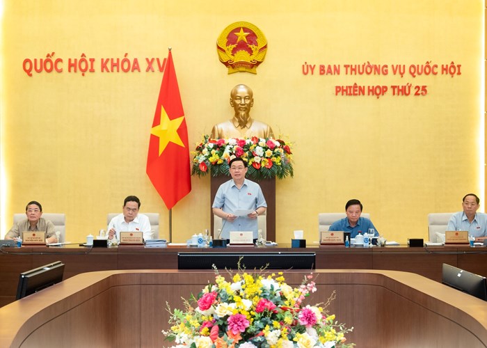 Khai mạc phiên họp thứ 25 của Ủy ban Thường vụ Quốc hội - Anh 1