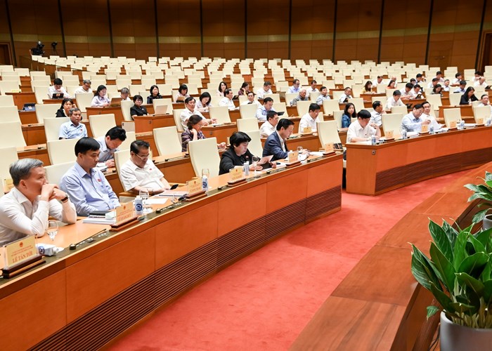 Làm rõ thực trạng, đề xuất được nhiều giải pháp đối với từng vấn đề chất vấn - Anh 2