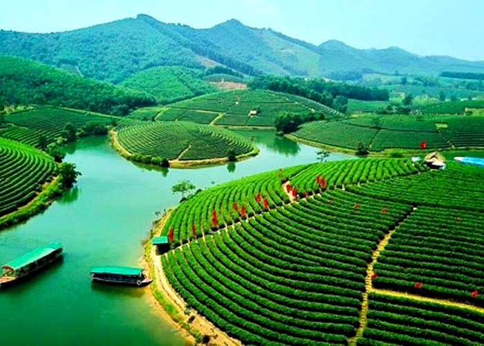 Nghệ An hướng tới quảng bá hình ảnh du lịch một cách chuyên nghiệp - Anh 4