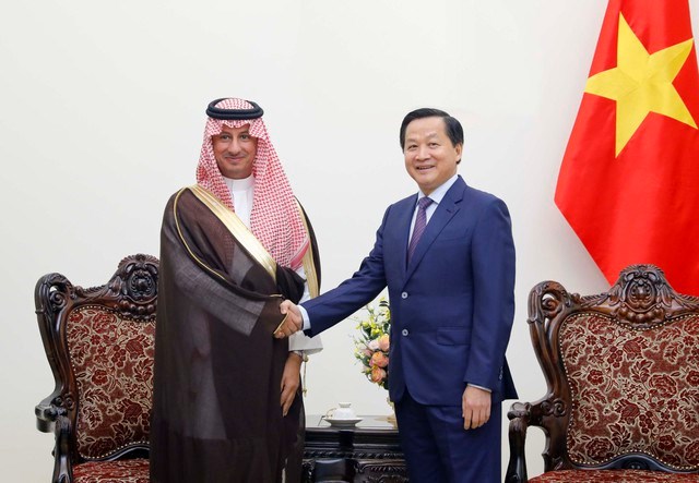 Đề nghị Saudi Arabia hỗ trợ phát triển công nghiệp Halal, hạ tầng du lịch - Anh 1