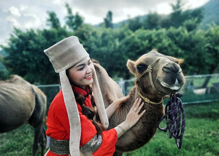 “Nội Mông” bên trong An Hảo Solar - Anh 2