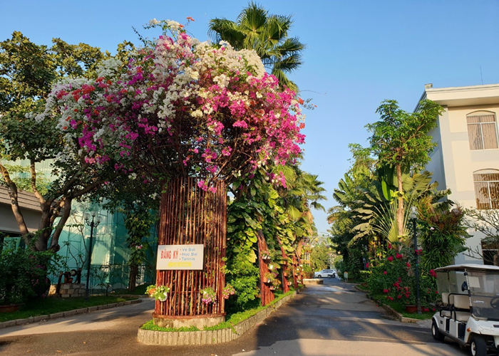 Ký ức miền quê trong khu nghỉ dưỡng - Anh 5