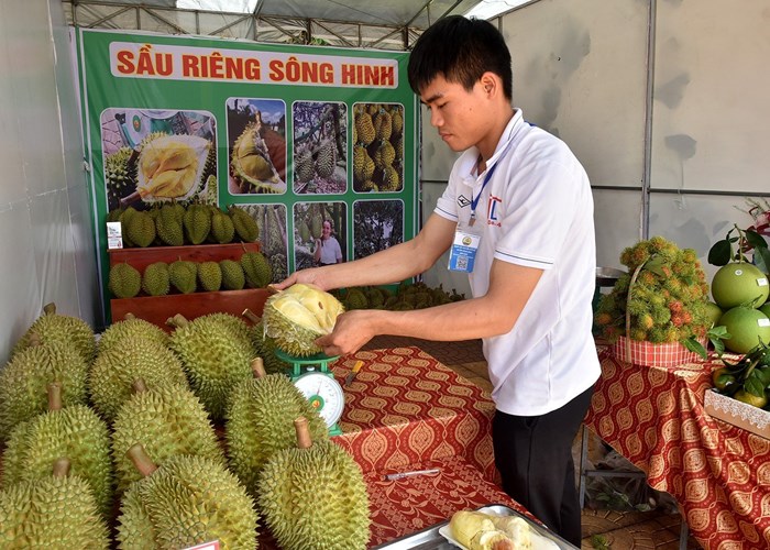 Phú Yên: Sông Hinh hướng tới mỗi người dân là một công dân số - Anh 5