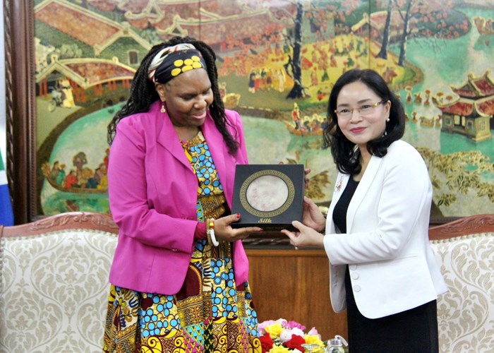 Nam Phi mong muốn học hỏi kinh nghiệm phát triển văn hoá của Việt Nam - Anh 3